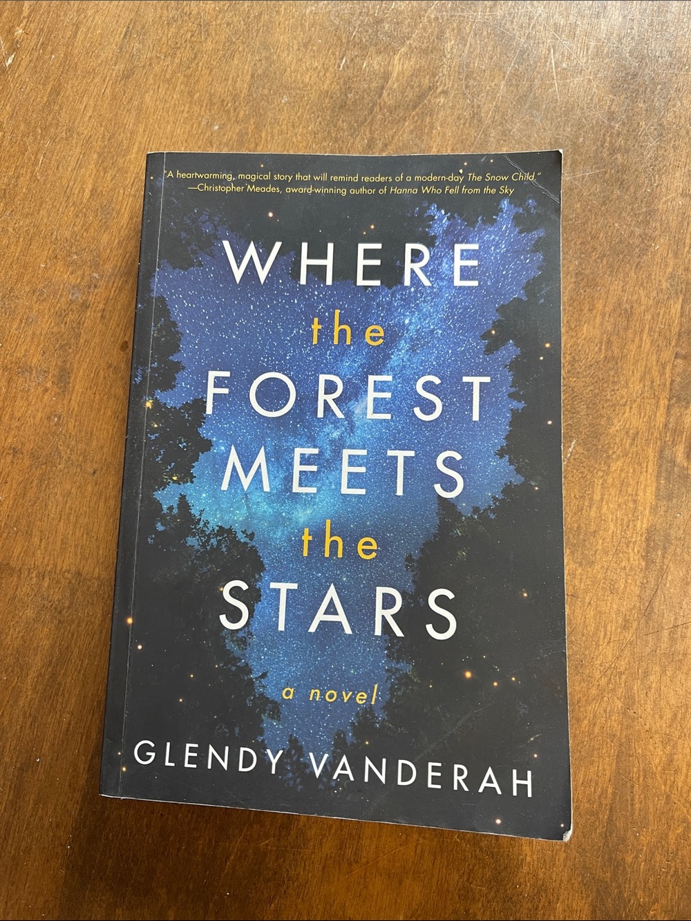 Where the Forest Meets the Stars by Glendy Vanderah